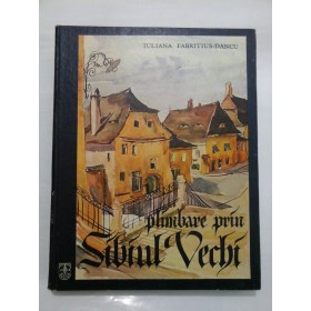 Plimbare prin SIBIUL VECHI - I.FABRITIUS -DANCU 